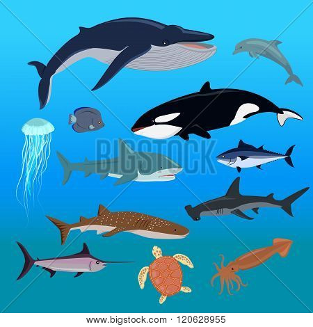 Marine Fauna Set of Aquatic Animals