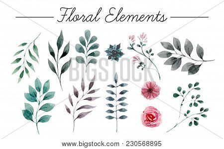 Set Of Flowers Painted In Watercolor On White Paper. Sketch Of Flowers And Herbs. Wreath, Garland Of