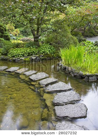 . A path from the wet stones, laid through a pond in Japanese to a garden