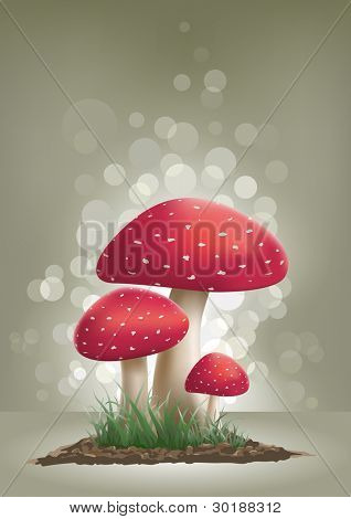 Fly Agaric Mushroom vector illustration.