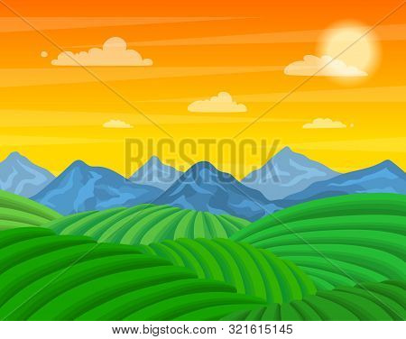 Cartoon Tea Plantation Green Fields Landscape Background Scene Cultivation Concept Flat Design. Vect