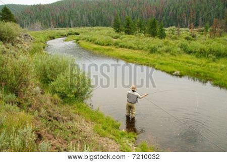 Fly Fishing