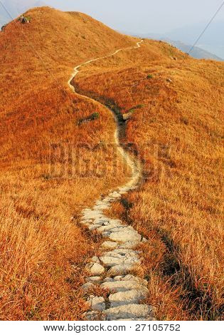 mountain path and yellow grass