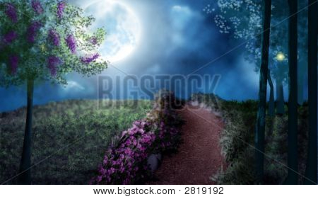 Moonlit Path