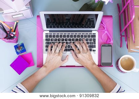 Female Hands Typing.