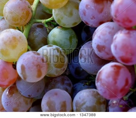 Grapes