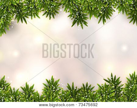 Christmas background with fir and stars. Vector illustration. 