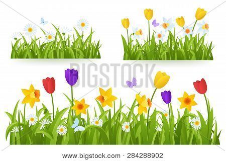 Spring Grass Border With Early Spring Flowers And Butterfly Isolated On White Background. Illustrati