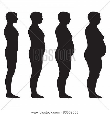 vector fat body,