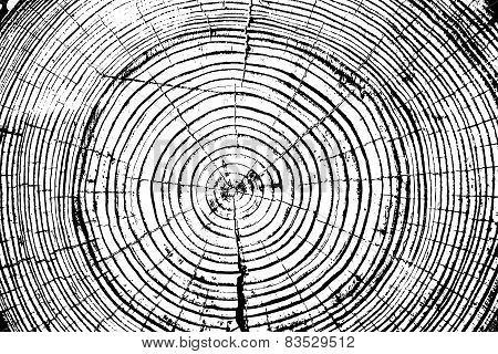 Tree rings saw cut tree trunk background. Vector illustration.