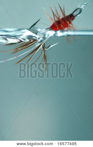 Red frances fly dragged through the water