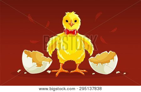 Newborn Cartoon Hen Chicken Rooster Hatched From Egg With Shells. Chick Ready For Easter Holiday Wit