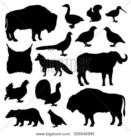 Wild Animals And Birds Monochrome Vector Silhouettes. Lynx And Buffalo, Forest Fox And Bison, Woodco