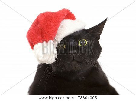 Black Cat Santa - Cute Christmas Cat, Christmas Pet With Santa Claus Hat