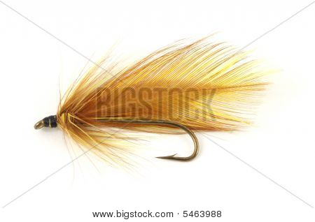 Brown Fly Fishing Fly