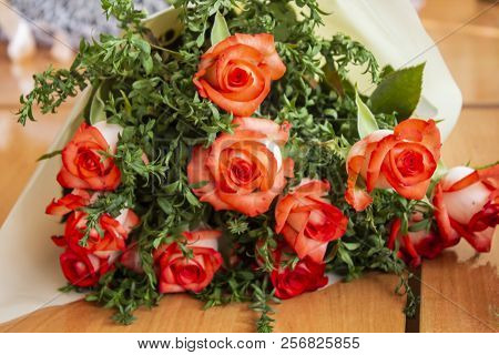 Beautiful Rose Flower In Garden. Rose Flower Background. Roses Flower Texture. Lovely Rose. Roses In