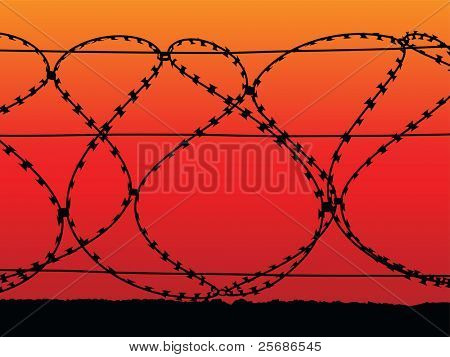 Barbed wire