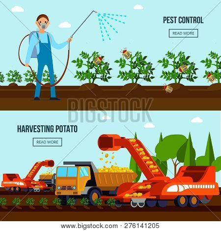 Potato Cultivation Flat Compositions With Pest Control And Agricultural Vehicles During Harvesting I