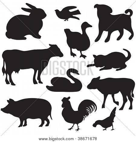 Silhuetas de animais desenhado a mão. Cão, gato, pato, coelho, vaca, porco, galo, galinha, cisne, cachorro, k