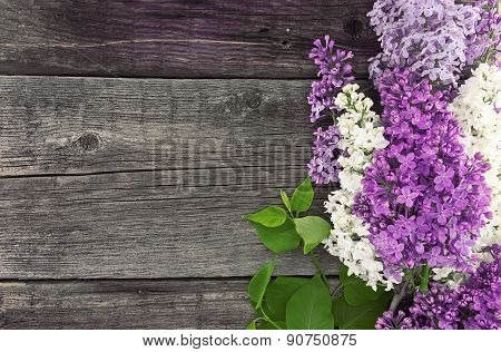 Lilac Blossom On Rustic Wooden Background With Empty Space For Greeting Message. Mother's Day And Sp