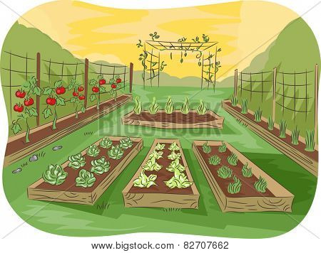 Illustration of a Kitchen Garden Lined Up With Fruits and Vegetables