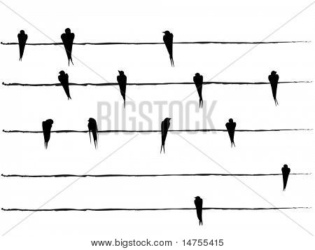 silhouettes of Birds on wires