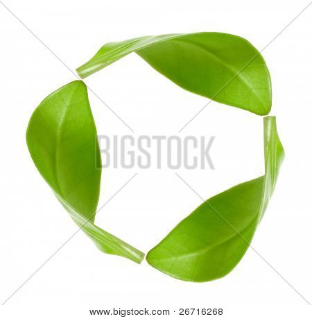 eco green energy recycling  isolated on white