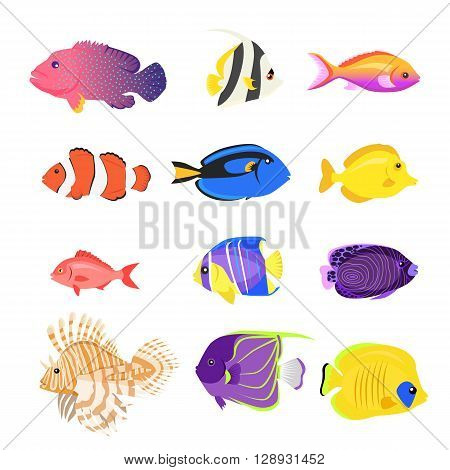 Set of sea fish color design flat. Ocean fish animal, nature cartoon wildlife aquarium, underwater life sea fish, exotic drawing marine fauna sea fish vector illustration