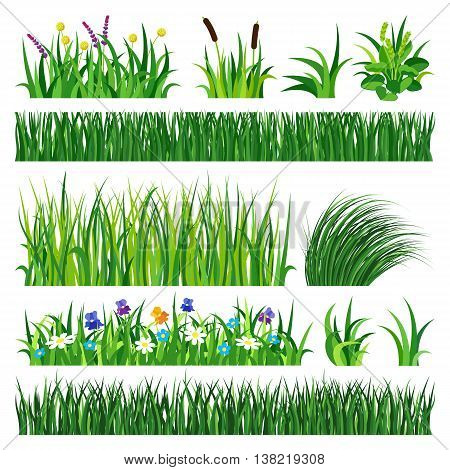 Green grass showing roots. Green grass with earth crosscut. Grass earth green, nature, background