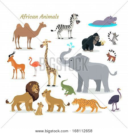 African fauna species. Cute african animals flat vector. Southern predators. Camel, zebra, rhino, gorilla, koala, deer, flamingo, giraffe elephant crocodile tiger lion lion cheetah ostrich