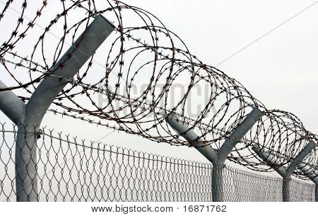 Fence with a barbed wire