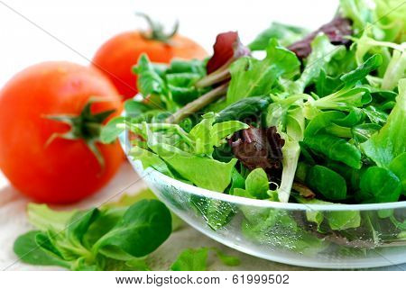 Fresh baby greens salad and tomatoes close up