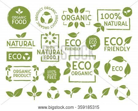 Set Of Eco, Bio, Organic And Natural Products Stickers, Labels, Badges And Logo. Ecology Icons Set. 