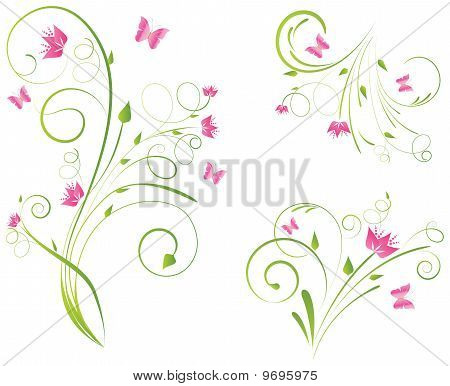 Florals Designs And Butterflies