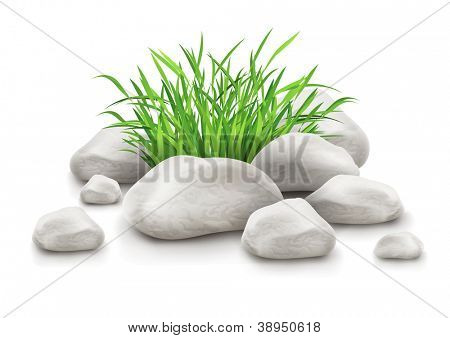 green grass in stones as landscape design element vector illustration isolated on white background EPS10. Gradient mesh used.