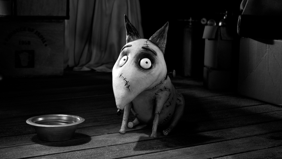 Sparky in Frankenweenie