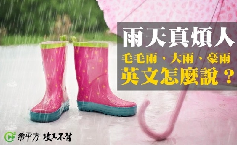 毛毛雨、豪雨英文怎麼說？這篇教你如何表達雨勢！