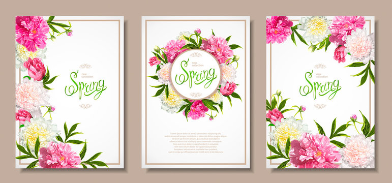 Set of three floral backgrounds with blooming pink and light yellow peonies, buds, green leaves. Inscription Spring. Template for card, banner on 8 March, Mothers Day, Birthday, Sale, Wedding