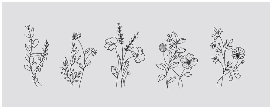 minimal botanical graphic sketch drawing, trendy tiny tattoo design, floral elements vector illustration