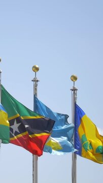 United Nation flag and flags of part of the UN members countries waving in the wind, blue sky, vertical short video