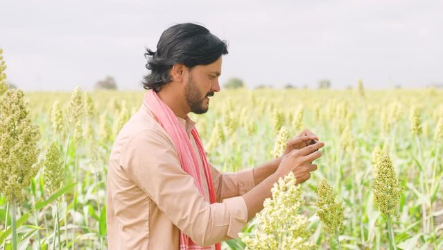 Happy young farmer checking crop growth by taking photos on mobile phone app at farmland - concept of technology, modern farming and internet