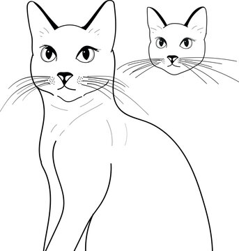 Silueta de gato en vector