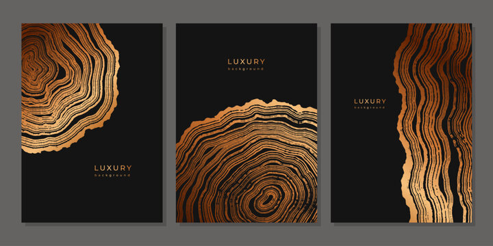 Set of templates. Luxury golden background with wood annual rings texture. Banner with tree ring pattern. Stamp of tree trunk in section. Natural wooden concentric circles. Black and bronze background