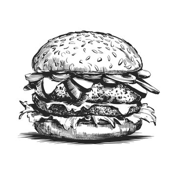 Burger ink sketch drawing, black and white, engraving style vector illustration