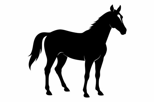 Black silhouette of a horse isolated on a white background. Concept of equine illustration minimalist style, majestic animal art, suitable for prints, icons, logos, and design elements