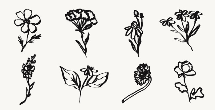 Tattoo flower collection. Contemporary abstract minimal art in charcoal or crayon drawing style botanic plant vector illustration. Ink hand drawn flowers set. Pencil drawn floral elements.