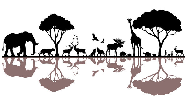 Silhouettes of various animals in Savannah African landscape scene Seamless tropical background vector Isolated on transparent background.