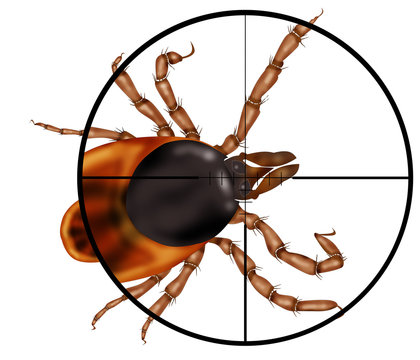 kill insects, machine gun, sight, target,