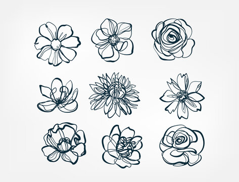 flower set line one art isolated vector illustration