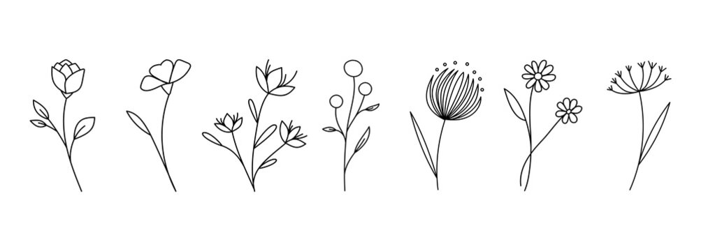 Botanical linear flower set. Abstract creative floral collection, minimalist flowery art for print, tattoo. Vector illustration